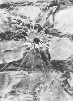 Насекомые. Пауки - i_366.jpg