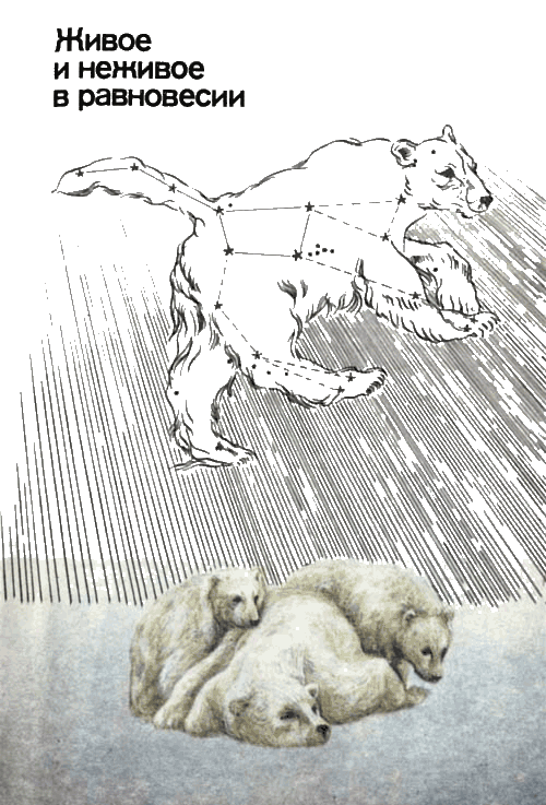 Невидимые нити природы - i_002.png