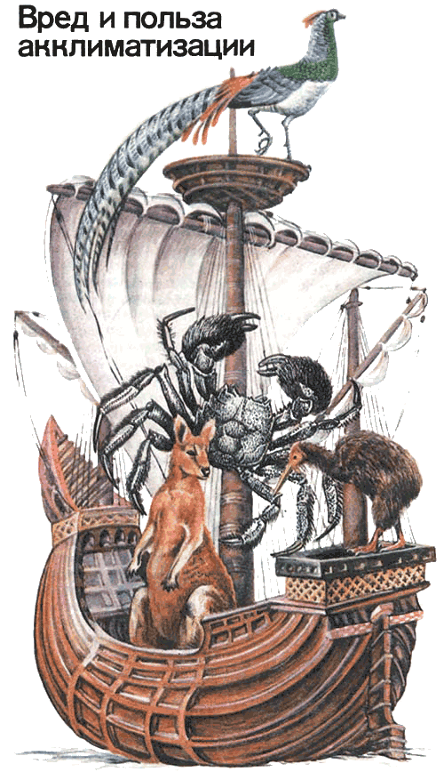 Невидимые нити природы - i_010.png