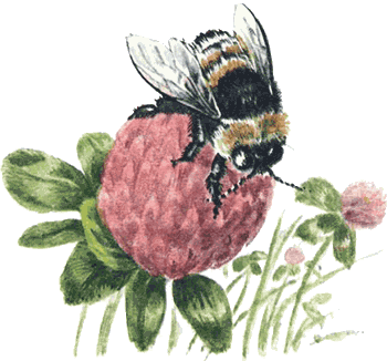 Невидимые нити природы - i_012.png