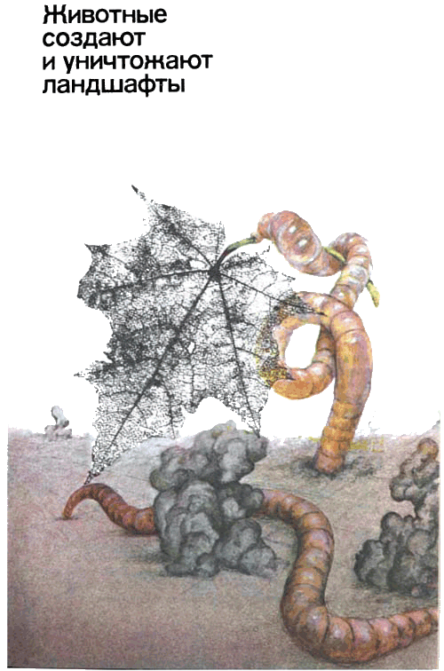 Невидимые нити природы - i_027.png