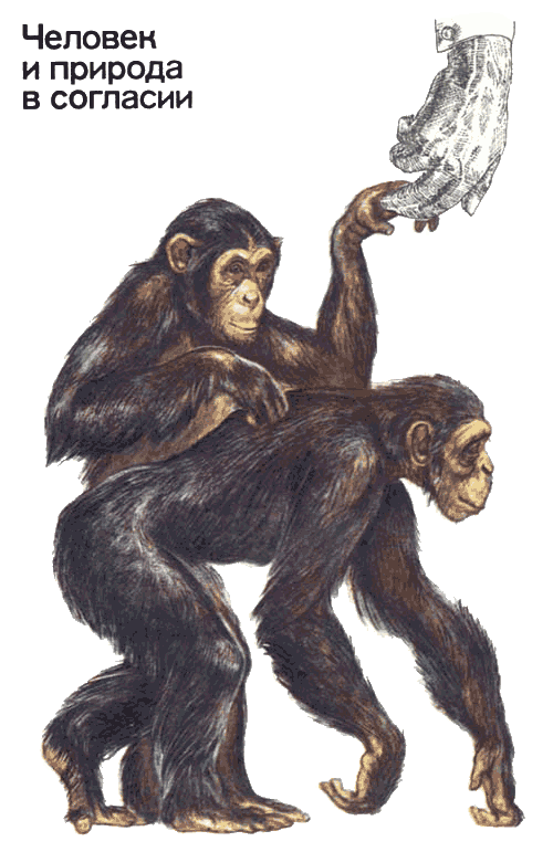 Невидимые нити природы - i_060.png