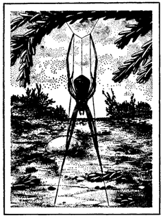 Первопоселенцы суши - i_019.png