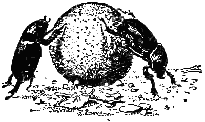 Причуды природы - i_003.png