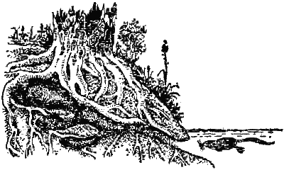 Причуды природы - i_025.png