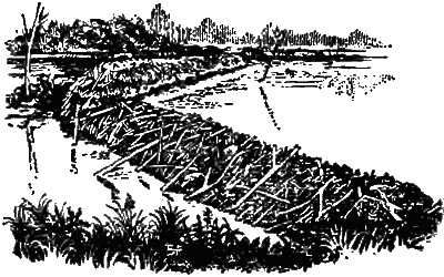 Причуды природы - i_028.png