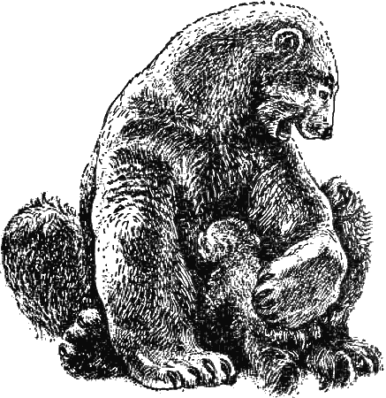 Причуды природы - i_033.png