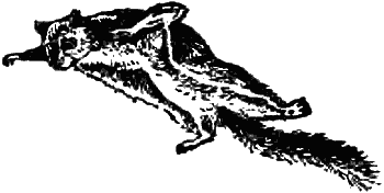 Причуды природы - i_064.png