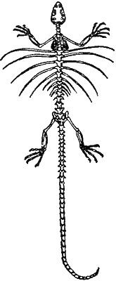 Причуды природы - i_068.png