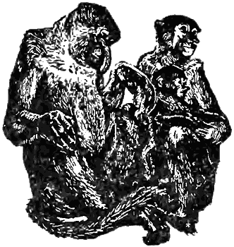 Причуды природы - i_076.png