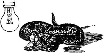 Причуды природы - i_087.png