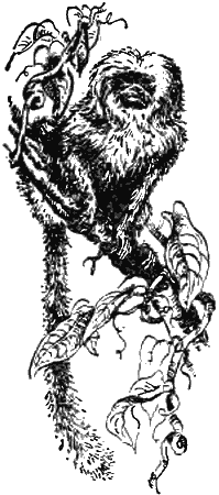 Причуды природы - i_090.png