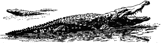 Причуды природы - i_094.png