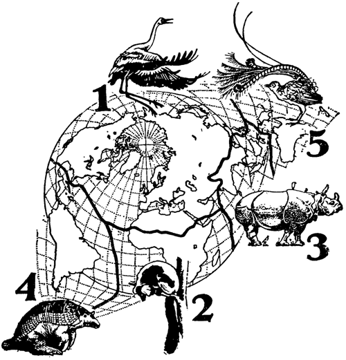 Причуды природы - i_115.png