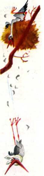 Птицы - i_105.jpg