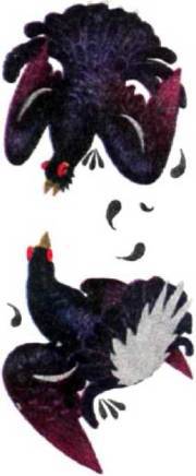 Птицы - i_215.jpg