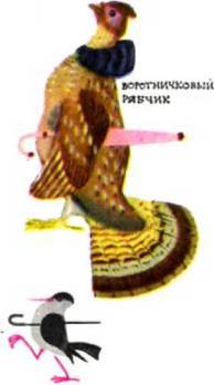 Птицы - i_217.jpg