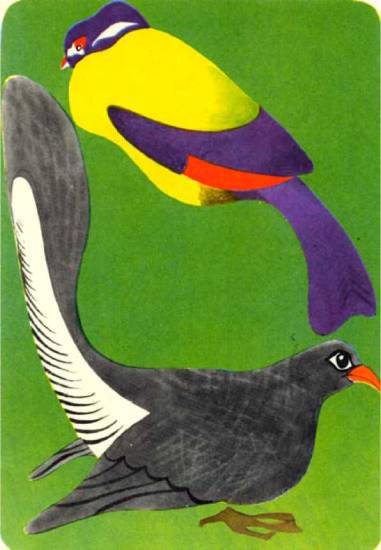 Птицы - i_325.jpg