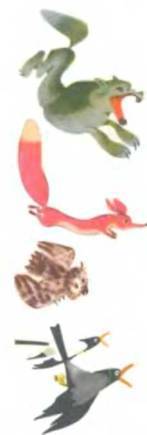 Рукокрылые, приматы, неполнозубые, панголины, зайцеобразные, грызуны, китообразные, ластоногие, трубкозубые, даманы, сирены и хоботные - i_058.jpg