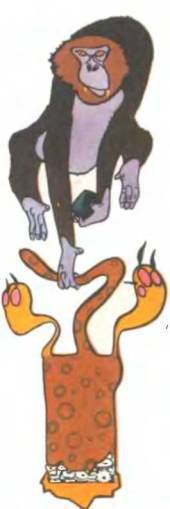 Рукокрылые, приматы, неполнозубые, панголины, зайцеобразные, грызуны, китообразные, ластоногие, трубкозубые, даманы, сирены и хоботные - i_336.jpg