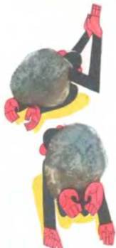 Рукокрылые, приматы, неполнозубые, панголины, зайцеобразные, грызуны, китообразные, ластоногие, трубкозубые, даманы, сирены и хоботные - i_339.jpg