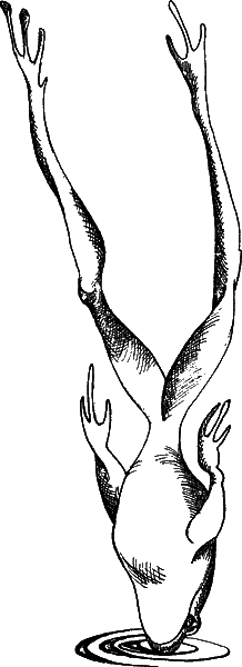 С вечера до утра - i_006.png