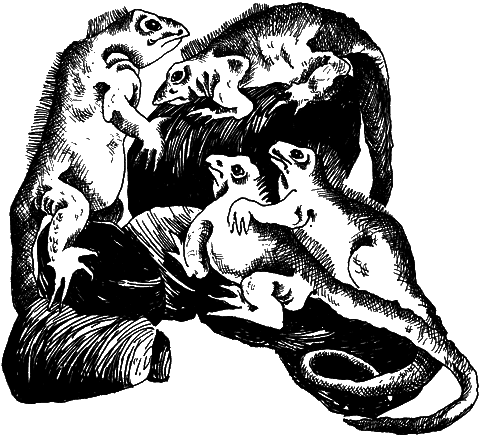 С вечера до утра - i_013.png