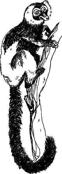 С вечера до утра - i_020.png