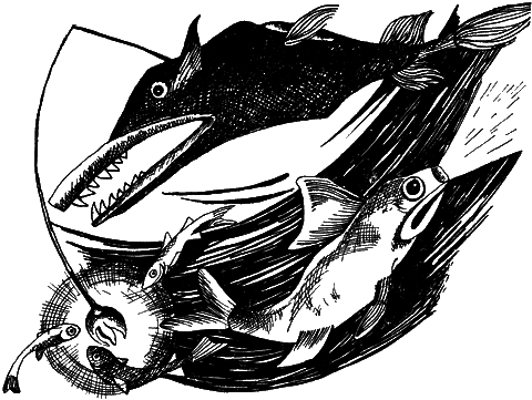 С вечера до утра - i_029.png