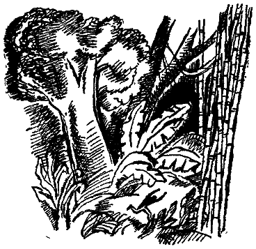 Следы невиданных зверей - i_01.png