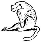 Следы невиданных зверей - i_02.png