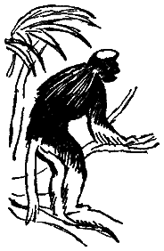 Следы невиданных зверей - i_03.png