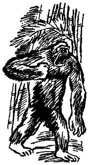 Следы невиданных зверей - i_14.png