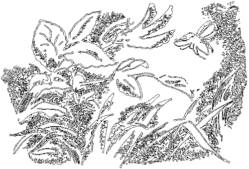 С утра до вечера - i_042.png