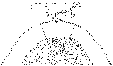 С утра до вечера - i_048.png