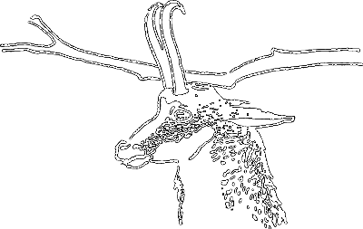 С утра до вечера - i_059.png