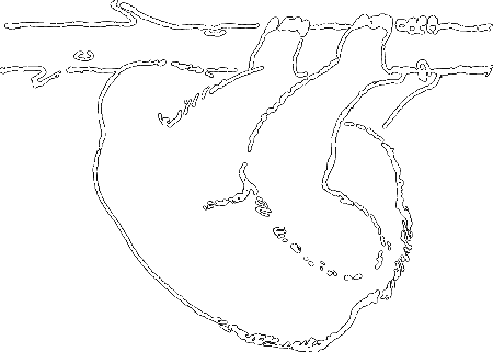 С утра до вечера - i_093.png