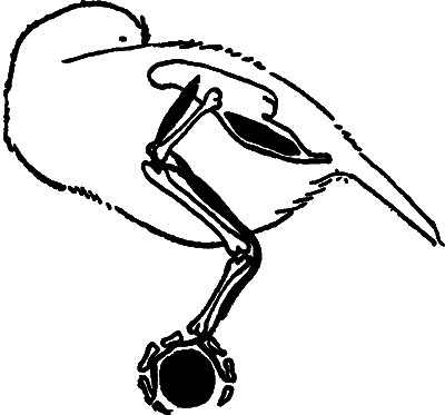 С утра до вечера - i_094.png