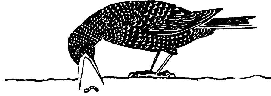 С утра и до вечера - _27.jpg