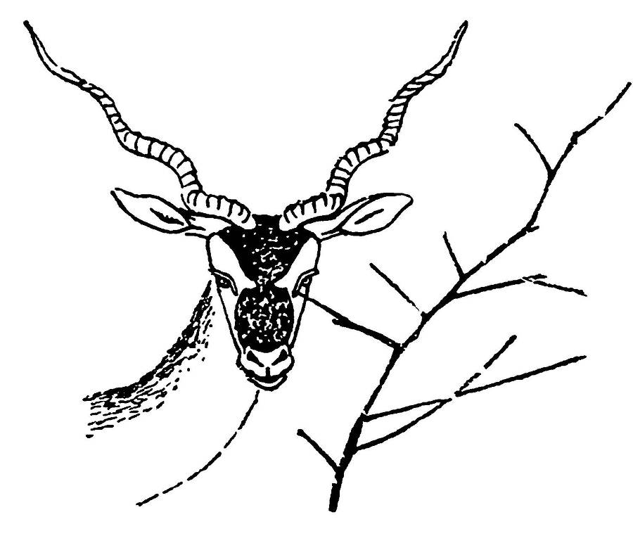 С утра и до вечера - _60.jpg