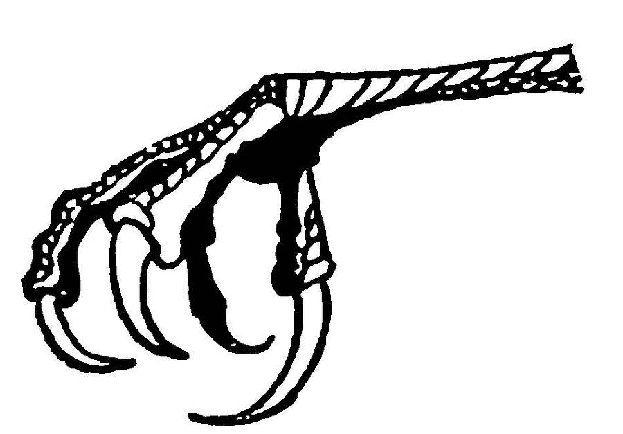 С утра и до вечера - _26.jpg