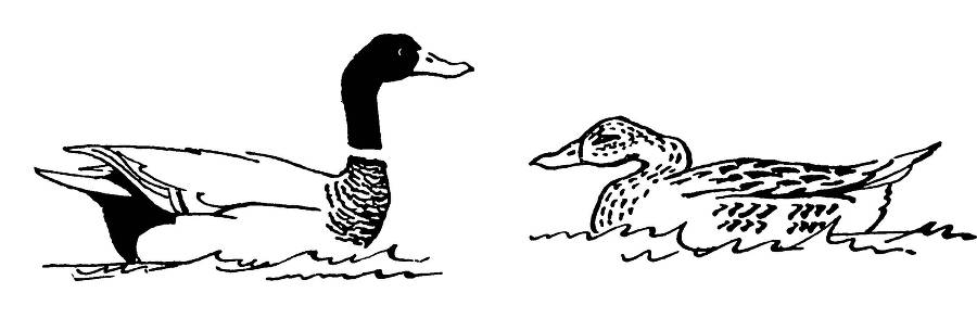 С утра и до вечера - _36.jpg