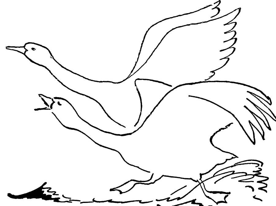 С утра и до вечера - _8.jpg