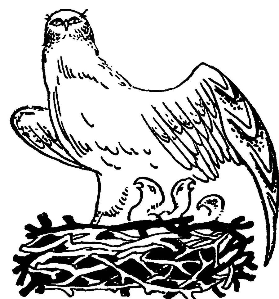 С утра и до вечера - _33.jpg