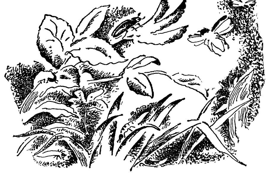 С утра и до вечера - _44.jpg