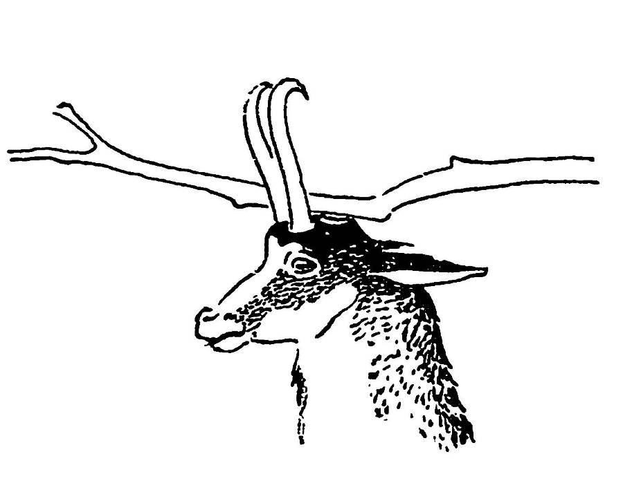 С утра и до вечера - _61.jpg