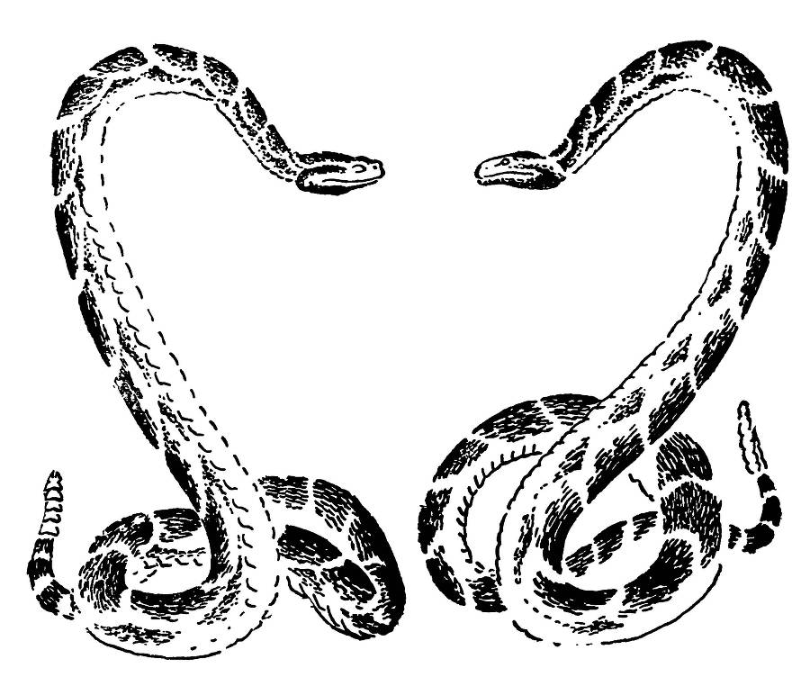 С утра и до вечера - _38.jpg