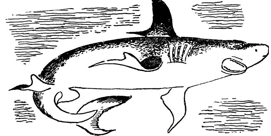 С утра и до вечера - _68.jpg