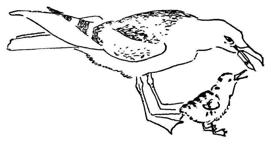 С утра и до вечера - _42.jpg