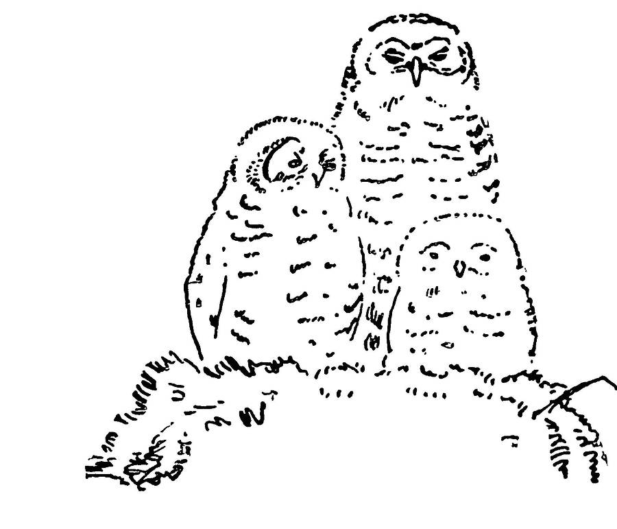 С утра и до вечера - _53.jpg